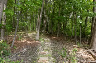381 Ludlow St, Portland, ME 04102 - Photo 41