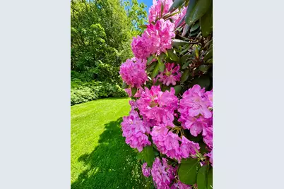 281 Clyde Road, Bangor, ME 04401 - Photo 49