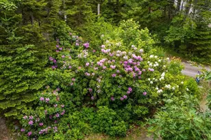 2 Schaefer Ln, Saint George, ME 04860 - Photo 47