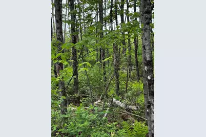M5 00 Leavitt Lane, Palmyra, ME 04965 - Photo 25