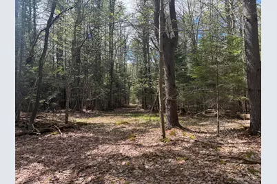 0 Hodsdon Road, Pownal, ME 04222 - Photo 5