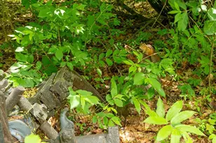 302 Mountain Rd, Washington, ME 04574 - Photo 37