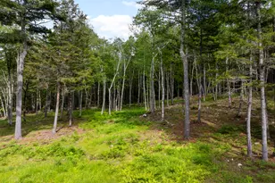 417 Lower Round Pond Rd, Bristol, ME 04539 - Photo 37