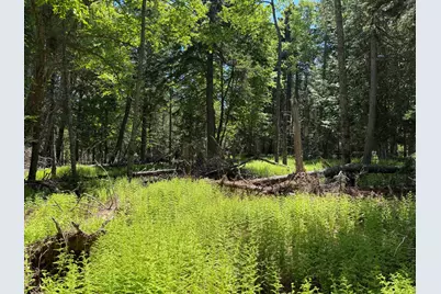 18/19C W West Bay Road, Islesboro, ME 04848 - Photo 13