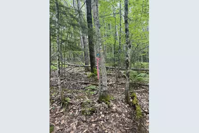 047-025 Cardinal Drive, Embden, ME 04958 - Photo 37