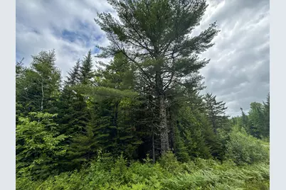 B Lookout Lane, Springfield, ME 04487 - Photo 25