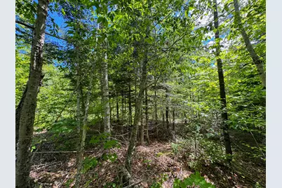 B Lookout Lane, Springfield, ME 04487 - Photo 15