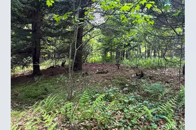 B Lookout Lane, Springfield, ME 04487 - Photo 29