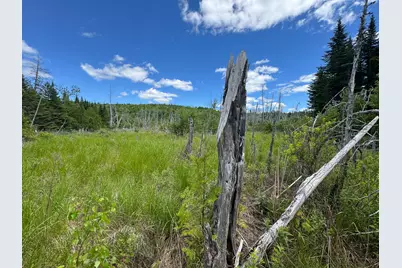 B Lookout Lane, Springfield, ME 04487 - Photo 19