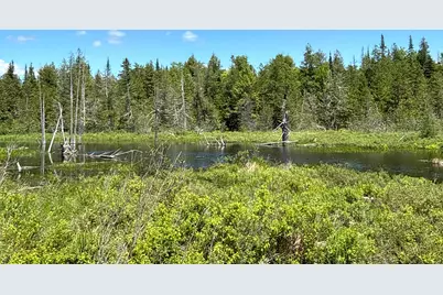 B Lookout Lane, Springfield, ME 04487 - Photo 31