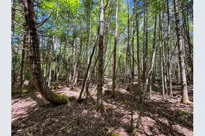 B Lookout Lane, Springfield, ME 04487 - Photo 11