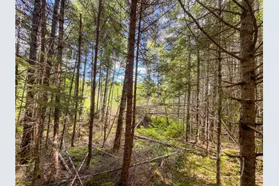 B Lookout Lane, Springfield, ME 04487 - Photo 21
