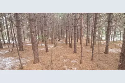 45 Ramsdell Road, Freeman Twp, ME 04947 - Photo 51