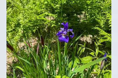 188 Nelson Drive, Waterford, ME 04088 - Photo 37