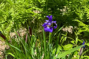 188 Nelson Dr, Waterford, ME 04088 - Photo 37