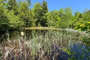 188 Nelson Dr, Waterford, ME 04088 - Photo 35