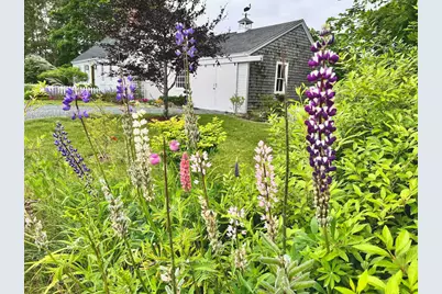 334 Castine Road, Castine, ME 04421 - Photo 37