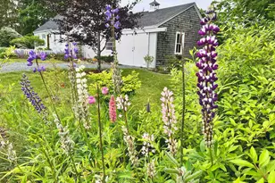 334 Castine Rd, Castine, ME 04421 - Photo 37