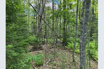 Lot #40 Route 17 (Augusta Road), Washington, ME 04574 - Photo 3