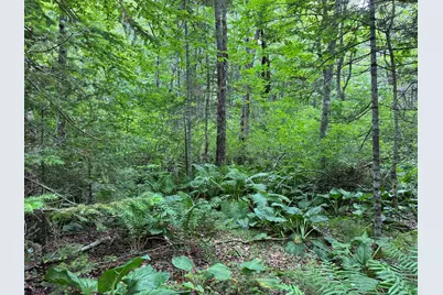 Lot #40 Route 17 (Augusta Road), Washington, ME 04574 - Photo 5