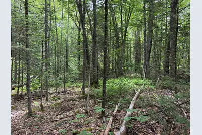 Lot #40 Route 17 (Augusta Road), Washington, ME 04574 - Photo 9