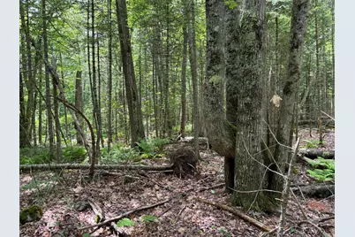 Lot #40 Route 17 (Augusta Road), Washington, ME 04574 - Photo 7