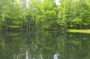 Lot 17 Off E Thorndike Rd, Thorndike, ME 04986 - Photo 29