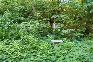 36 & 21 Newbury St, Auburn, ME 04210 - Photo 47