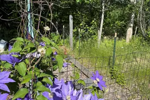 157 Durgin Rd, Paris, ME 04281 - Photo 31
