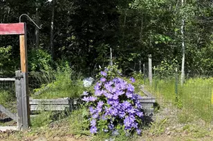 157 Durgin Rd, Paris, ME 04281 - Photo 25