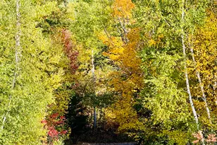 157 Durgin Rd, Paris, ME 04281 - Photo 47