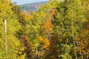 157 Durgin Rd, Paris, ME 04281 - Photo 49