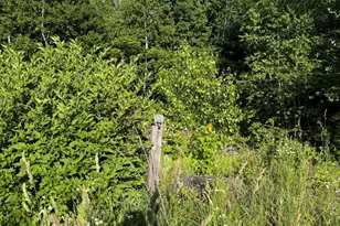 157 Durgin Rd, Paris, ME 04281 - Photo 27