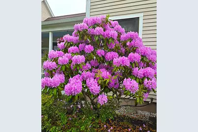 17 Mt Mount Kineo Road, Kennebunkport, ME 04046 - Photo 41