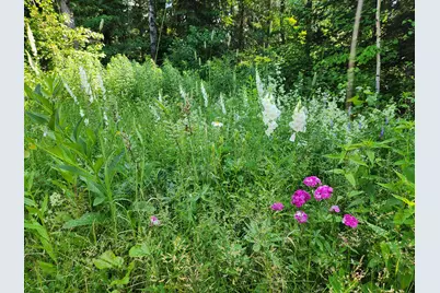 1387 Masardis Road, Masardis, ME 04732 - Photo 57