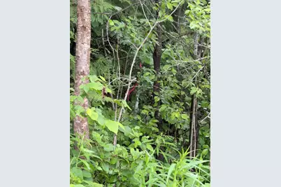 M3 L7-E Fowler Road, Woodland, ME 04736 - Photo 3