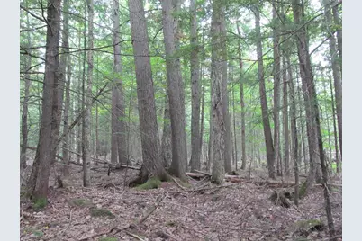 L27 Cummings Lane, Oxford, ME 04270 - Photo 27