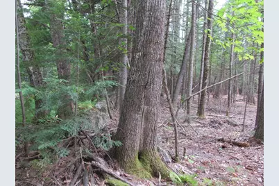 L27 Cummings Lane, Oxford, ME 04270 - Photo 5