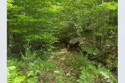 Lot 9 Wyman Hill Road #Lot 9, Rumford, ME 04276 - Photo 9