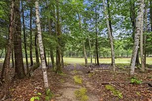 7 Lakeview Cir, Frye Island, ME 04071 - Photo 57