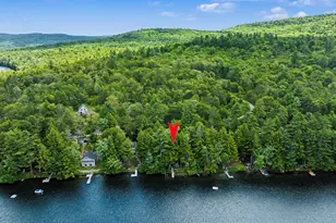 141 Coffee Pond Rd, Casco, ME 04015 - Photo 33