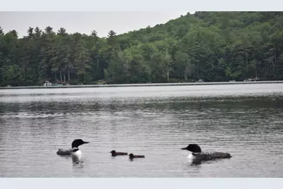 141 Coffee Pond Road, Casco, ME 04015 - Photo 39