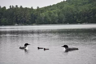141 Coffee Pond Rd, Casco, ME 04015 - Photo 39