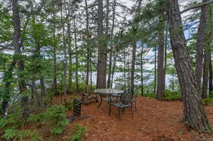 1 Custom House Island, Newfield, ME 04095 - Photo 35