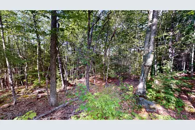 22 Deland Road, Lowell, ME 04493 - Photo 35