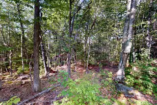 22 Deland Rd, Lowell, ME 04493 - Photo 35