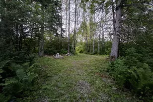 1356 Aroostook Rd, Wallagrass, ME 04781 - Photo 29