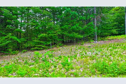 Lot 31B McDaniel's Drive, Waterford, ME 04088 - Photo 9