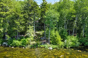 145 Cottage Shore Dr, Holden, ME 04429 - Photo 49