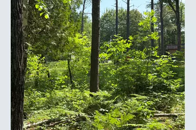 M4/Lot 2A Main Road, Greenbush, ME 04418 - Photo 5
